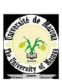 Université de Maroua